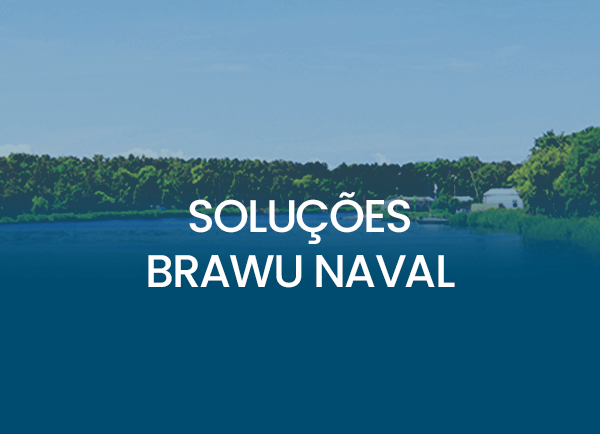 AF - 20559 - SITE BRAWU - BANNER SOLUÇÕES mob